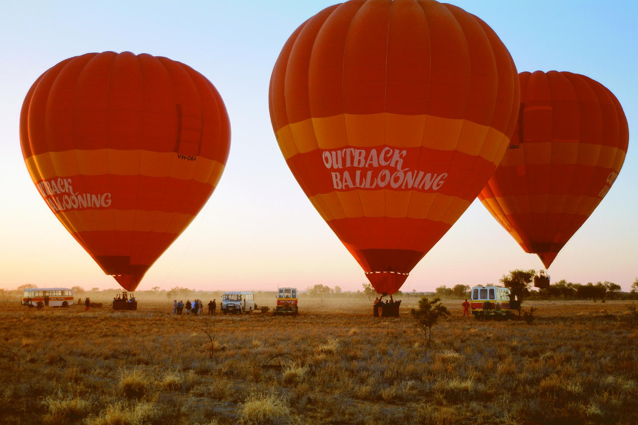 alice springs bush tucker tour