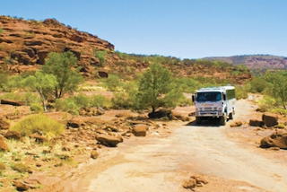 alice springs bush tucker tour