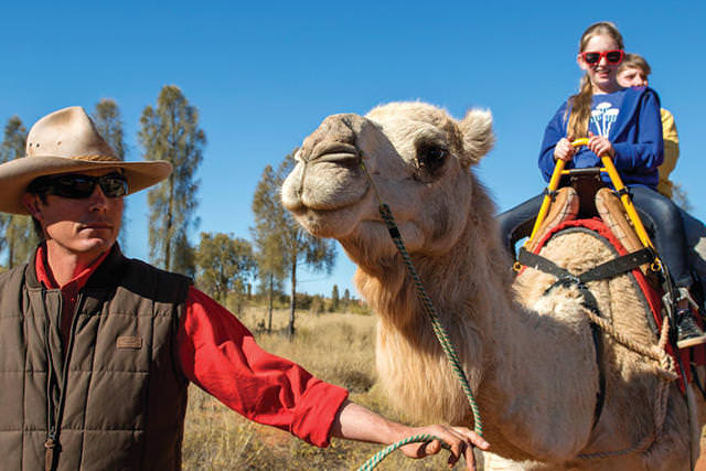 alice springs bush tucker tour